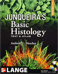 Image of Junqueira's Basic Histology: Text and Atlas