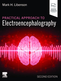 Image of Practical Approach to Electroencephalography